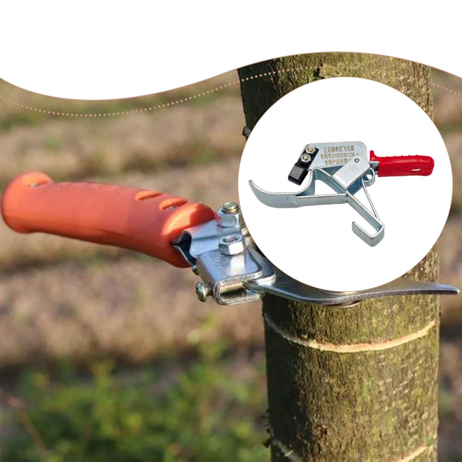 Fruit Tree Girdling Tool, Esse - Gardening Tools Essential 评论和价格