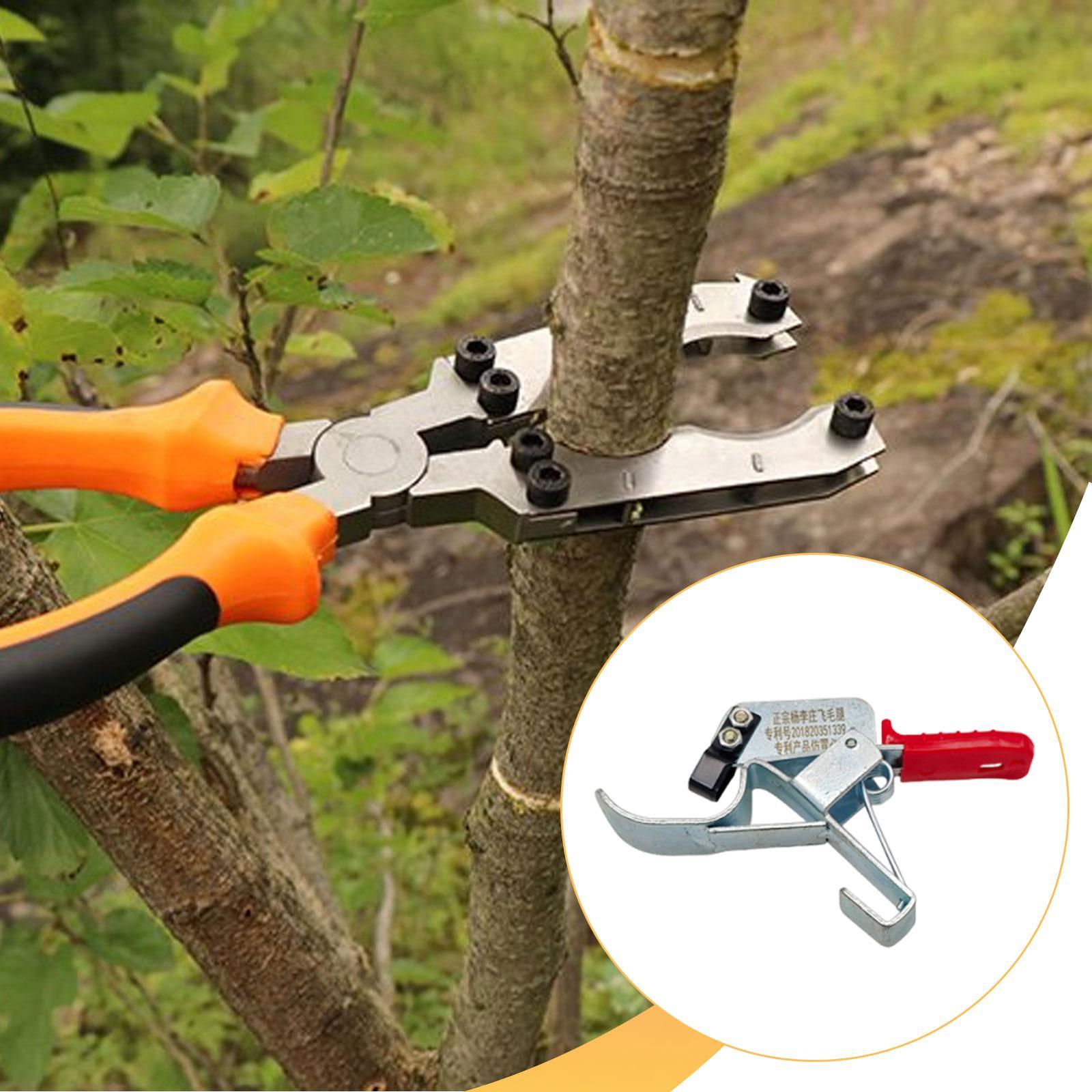 Fruit Tree Girdling Tool, Esse - Gardening Tools Essential 评论和价格