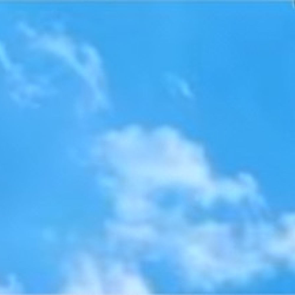 Heart Shaped Automatic Waterin - Automatic Plant Waterer 评论和价格