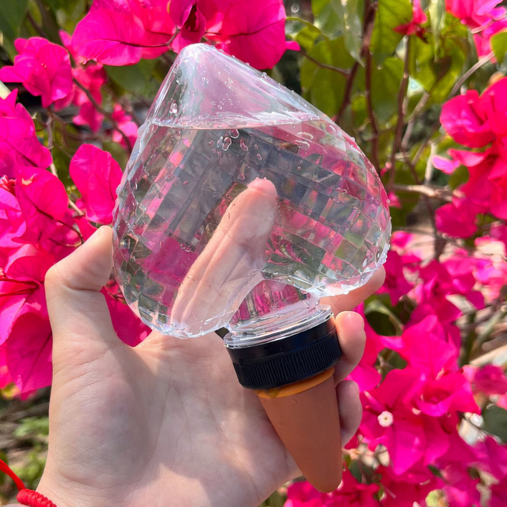 Heart Shaped Automatic Waterin - Automatic Plant Waterer 评论和价格