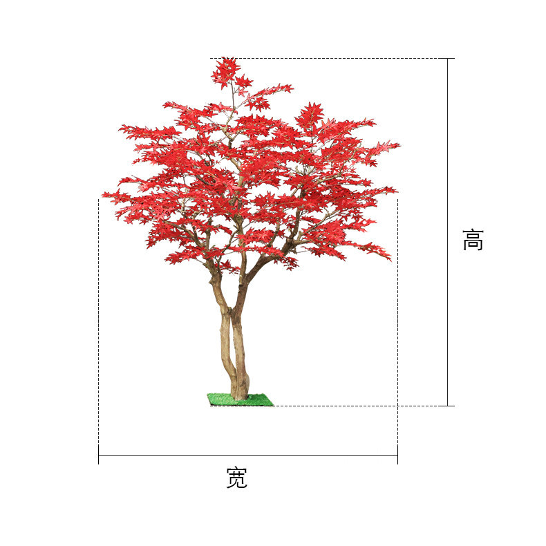 Red maple tree floor-to-ceilin - Gardening Hand Tools Japanese 评论和价格