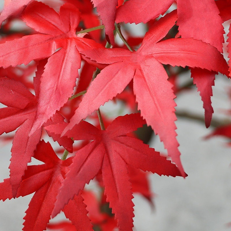 Red maple tree floor-to-ceilin - Gardening Hand Tools Japanese 评论和价格