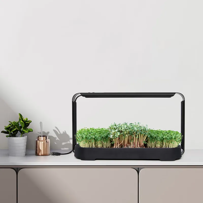 Microgreens Self Watering Hydr - Self-Watering Planter 评论和价格