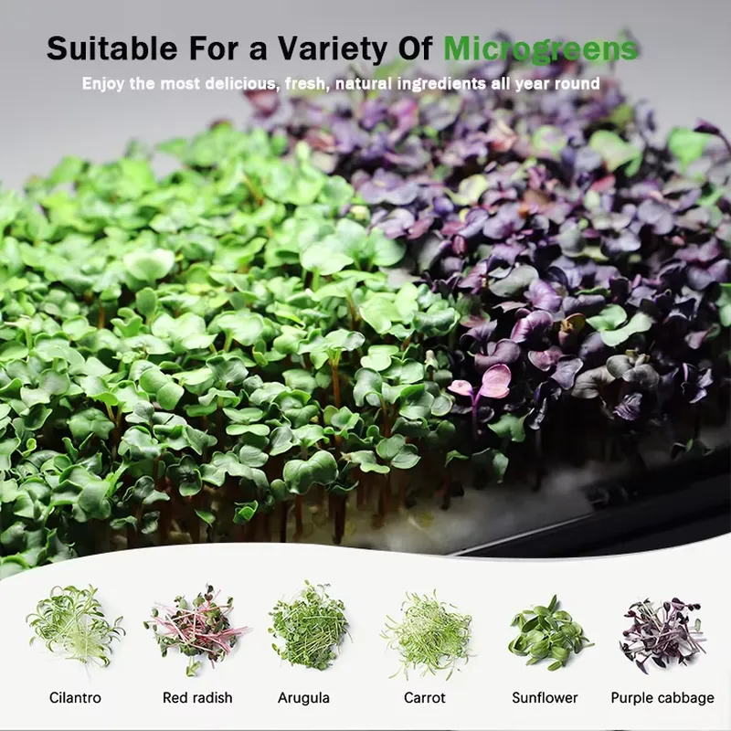 Microgreens Self Watering Hydr - Self-Watering Planter 评论和价格