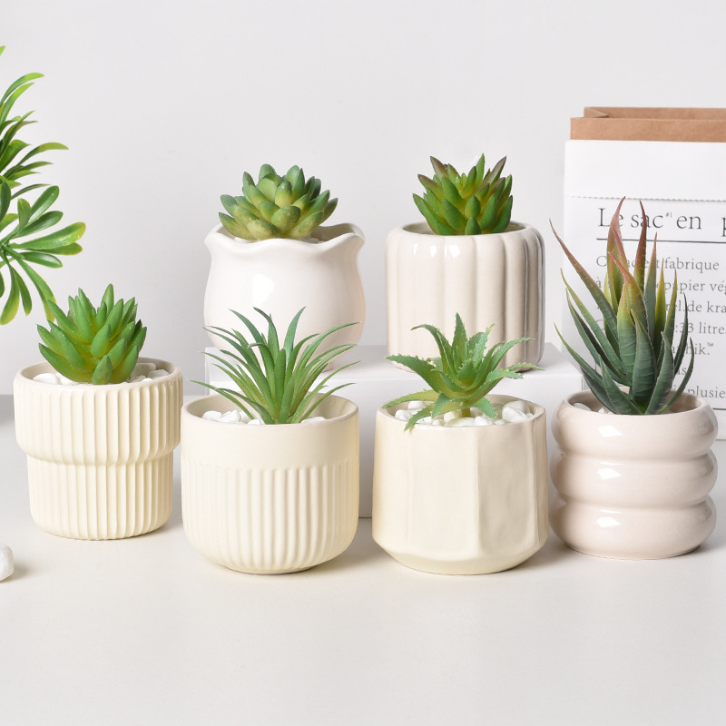 Ceramic Self-Watering Succulen - Self-Watering Planter 评论和价格
