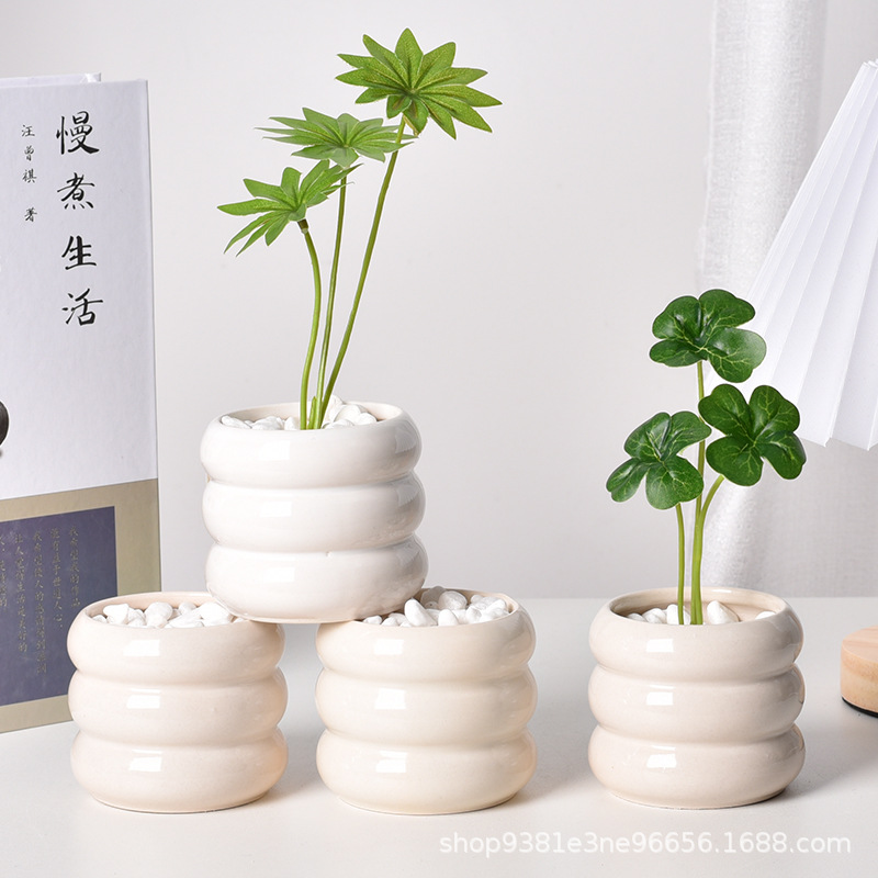 Ceramic Self-Watering Succulen - Self-Watering Planter 评论和价格