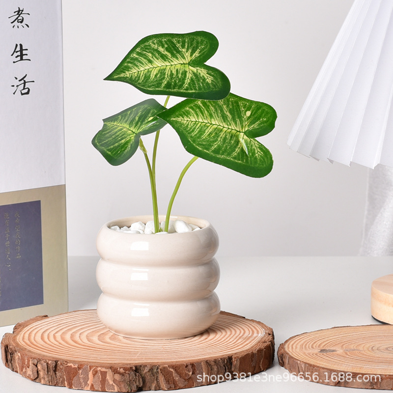 Ceramic Self-Watering Succulen - Self-Watering Planter 评论和价格