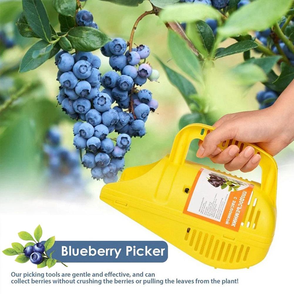 Easy-Grip Blueberry Picker Too - Gardening Tools Must Haves 评论和价格