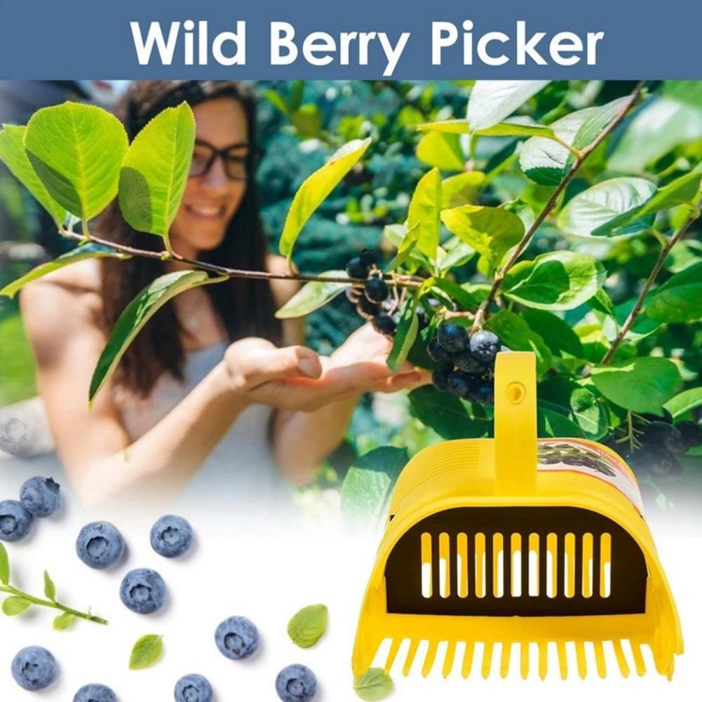 Easy-Grip Blueberry Picker Too - Gardening Tools Must Haves 评论和价格