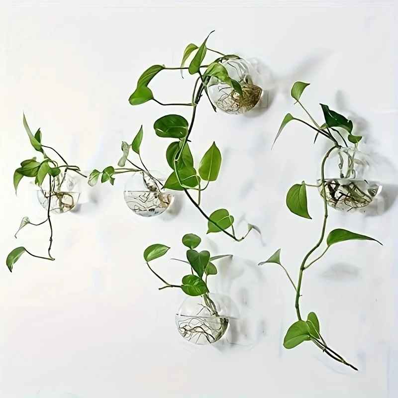 2/4/6 Pack Wall Hanging Glass  - Self-Watering Planter 评论和价格