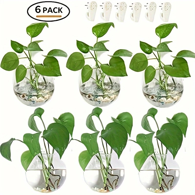 2/4/6 Pack Wall Hanging Glass  - Self-Watering Planter 评论和价格