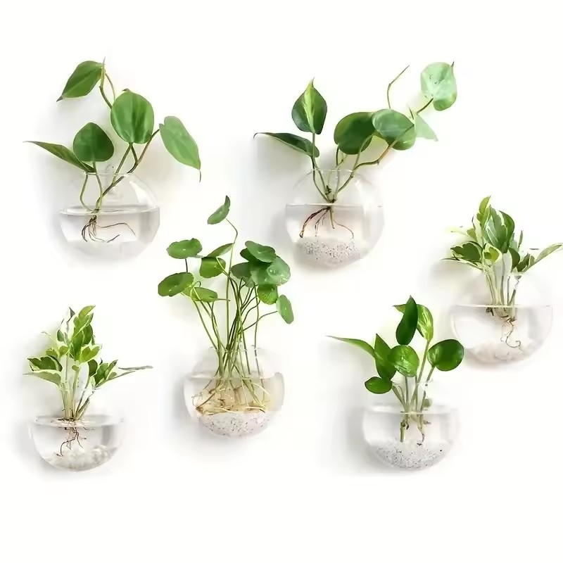 2/4/6 Pack Wall Hanging Glass  - Self-Watering Planter 评论和价格