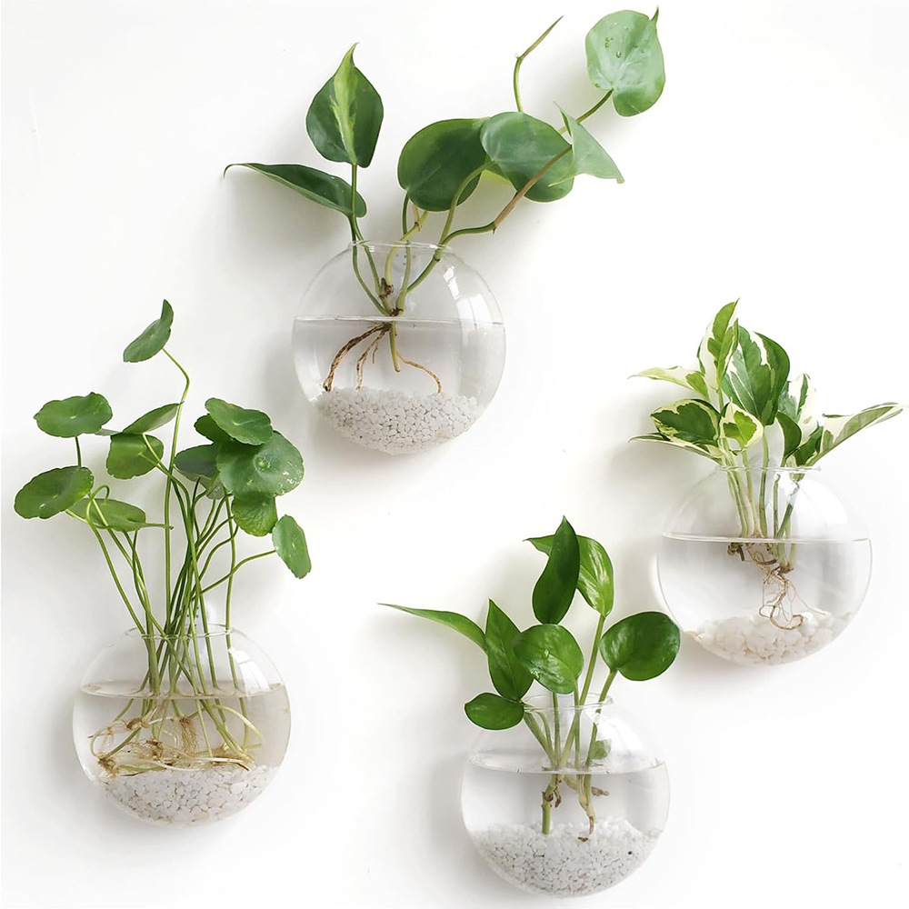 2/4/6 Pack Wall Hanging Glass  - Self-Watering Planter 评论和价格