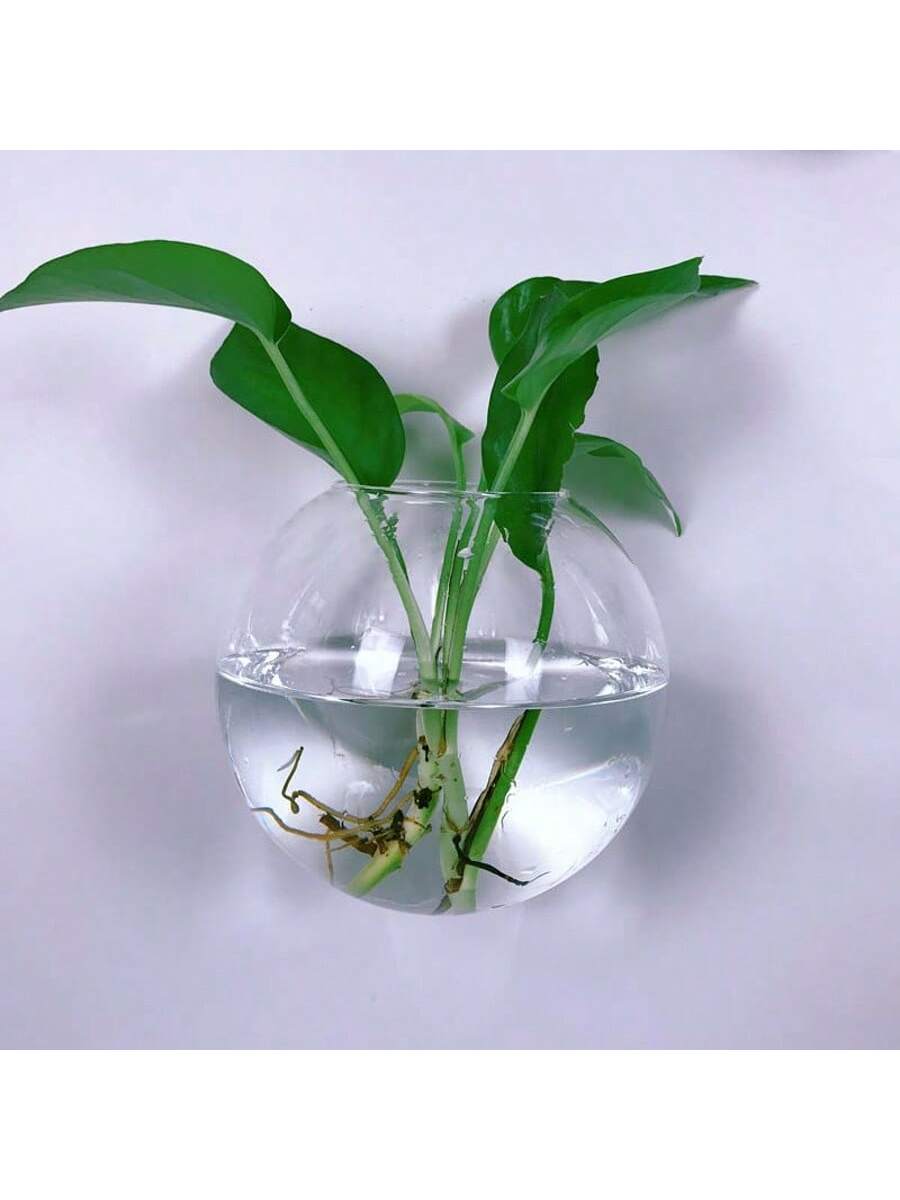 2/4/6 Pack Wall Hanging Glass  - Self-Watering Planter 评论和价格