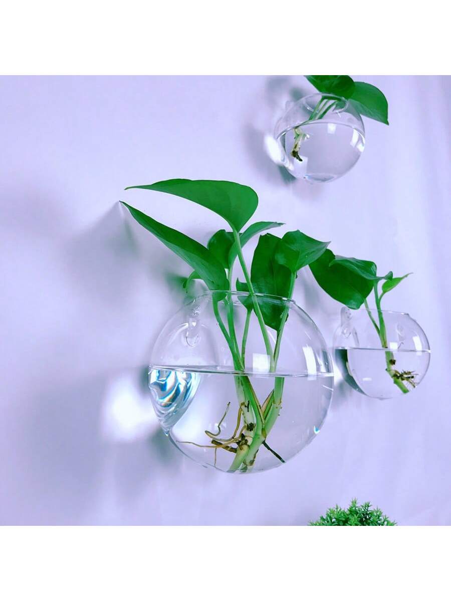 2/4/6 Pack Wall Hanging Glass  - Self-Watering Planter 评论和价格