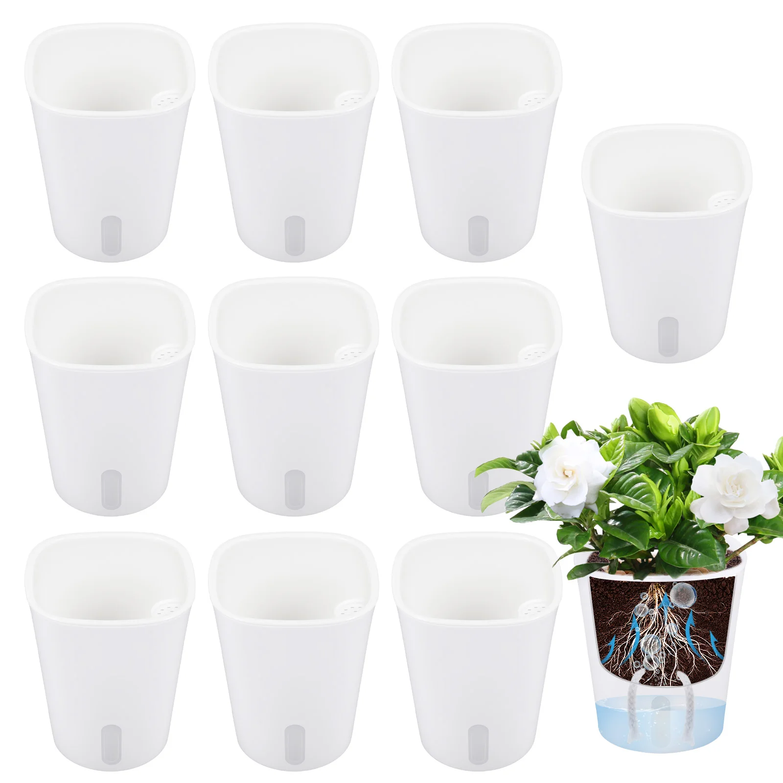 10 Pcs Self Watering Planter L - Self-Watering Planter 评论和价格