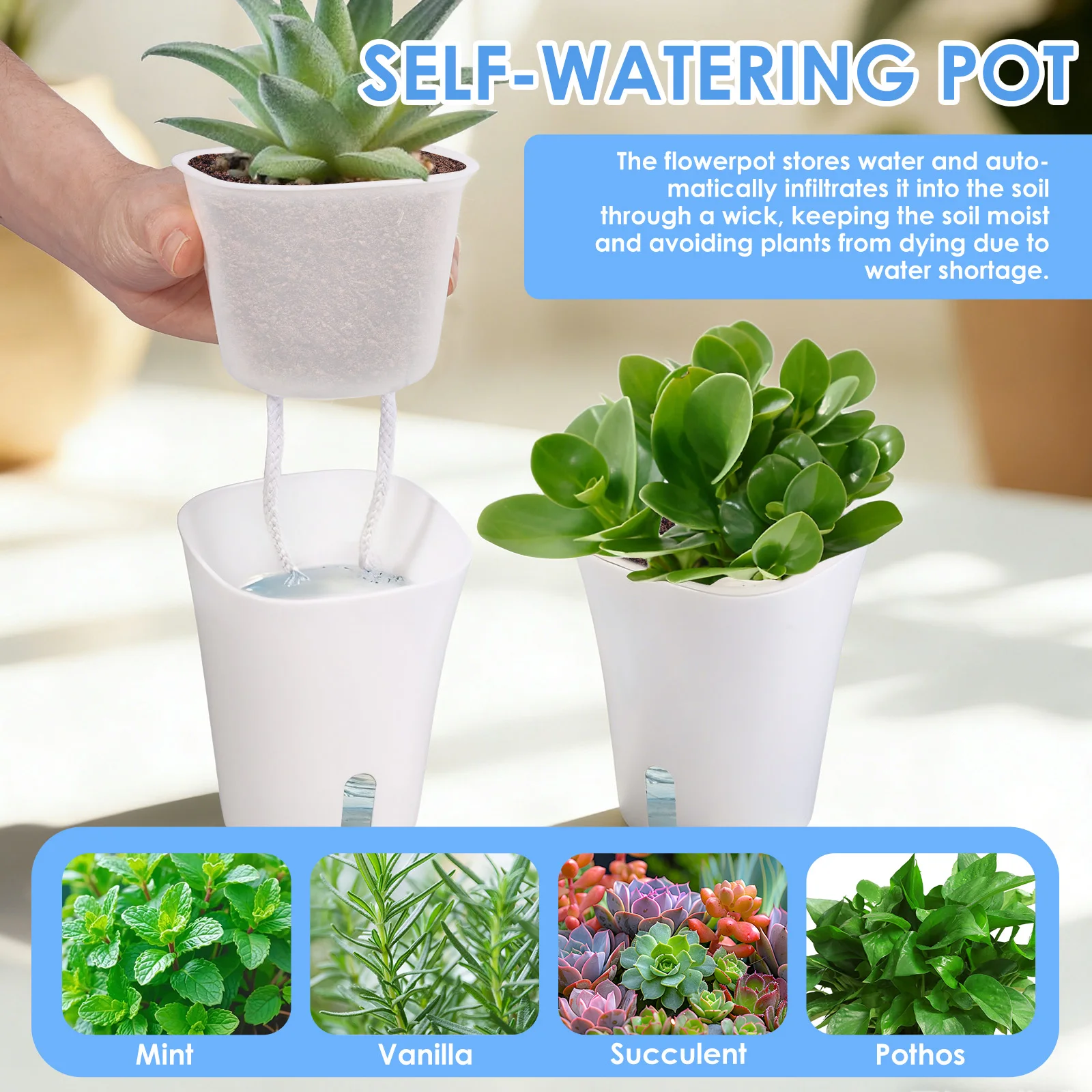10 Pcs Self Watering Planter L - Self-Watering Planter 评论和价格